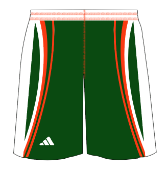 Custom Nothin' But Net Shorts